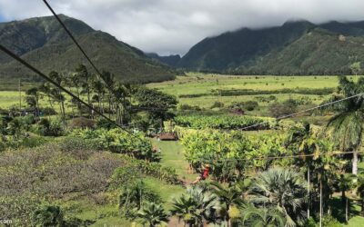 Maui Tropical Plantation Zipline