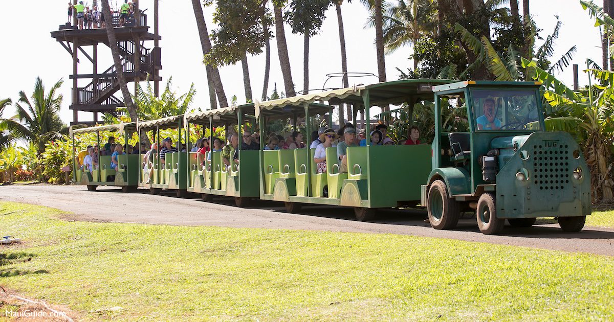 Families riding the Tropical Express at Maui Tropical Plantation