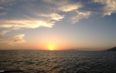 Valentine’s Day on Maui