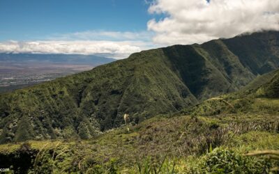 Maui Waterfall Adventures