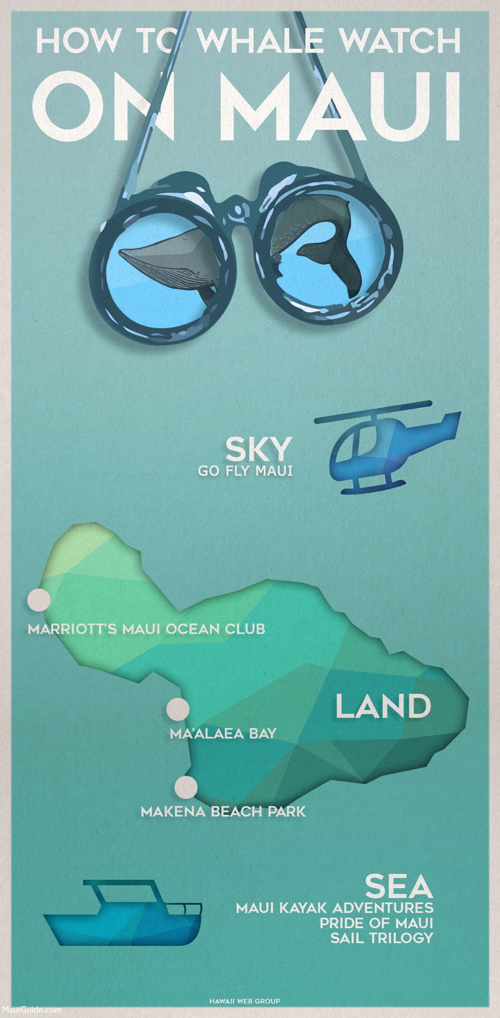 Infographic of Maui whale watching from shore, sea and sky