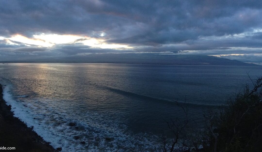 Maui Whale Watching From Shore