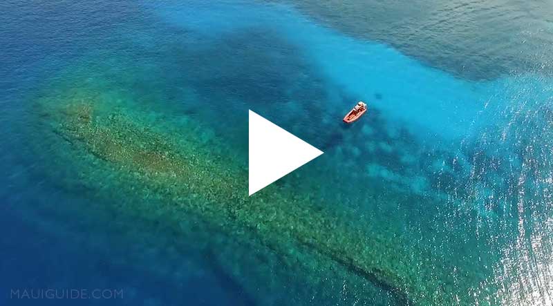 Molokini snorkeling