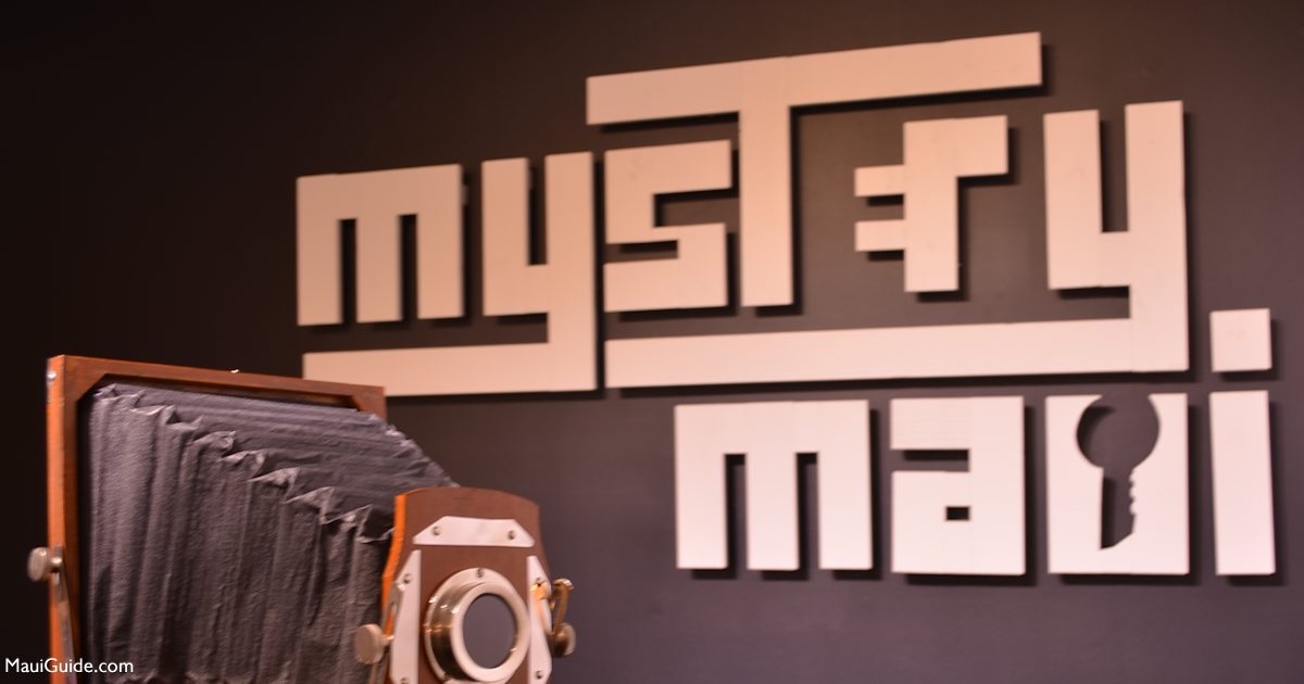 Vintage camera display and Mystery Maui logo inside the Wailuku escape-room venue