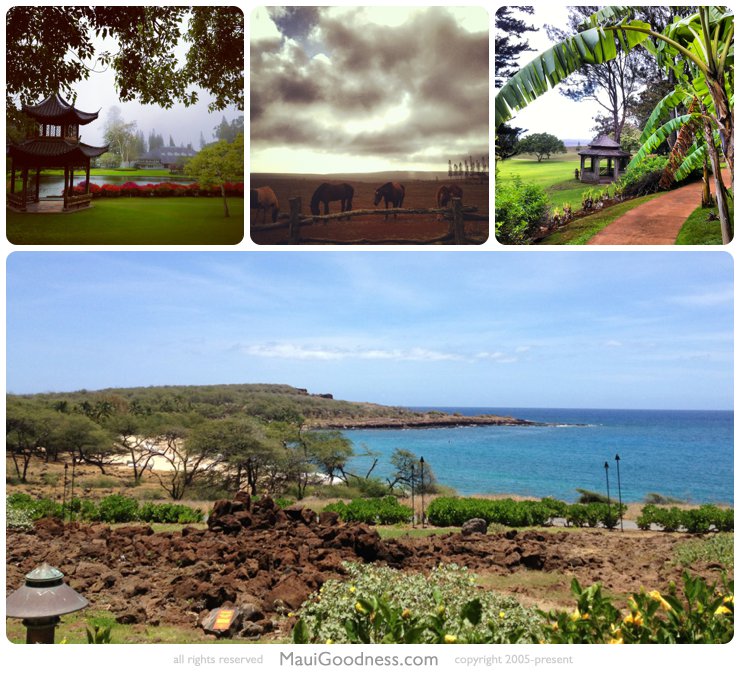 Lanai Hawaii