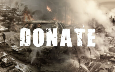 Maui Fire Recovery Donations