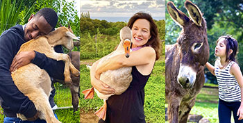 farm therapy