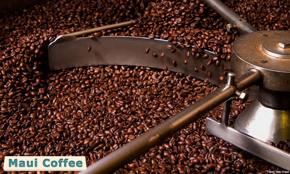 maui coffee