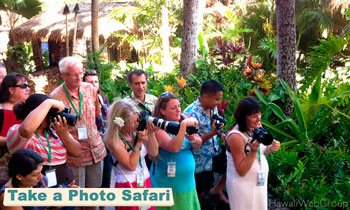 Take A Photo Safari