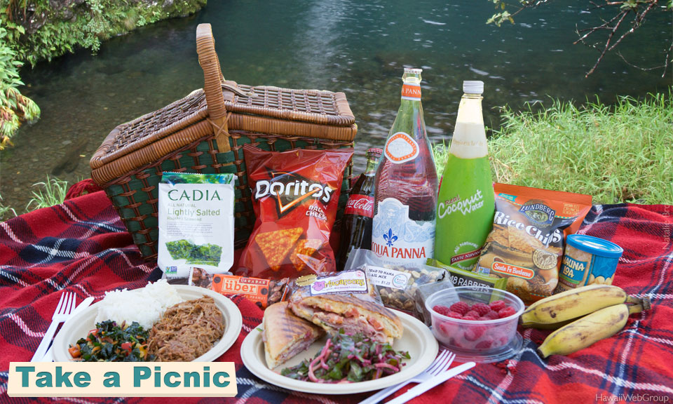 Take a Picnic