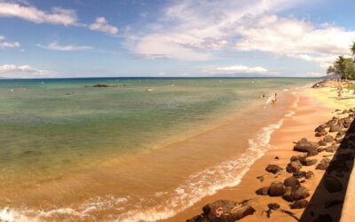 Things to Do in Kihei