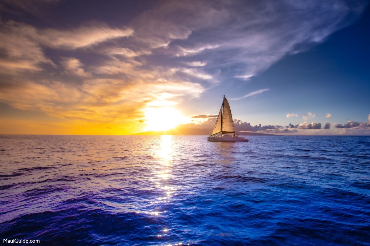 Trilogy catamaran sailing across the ocean at sunset