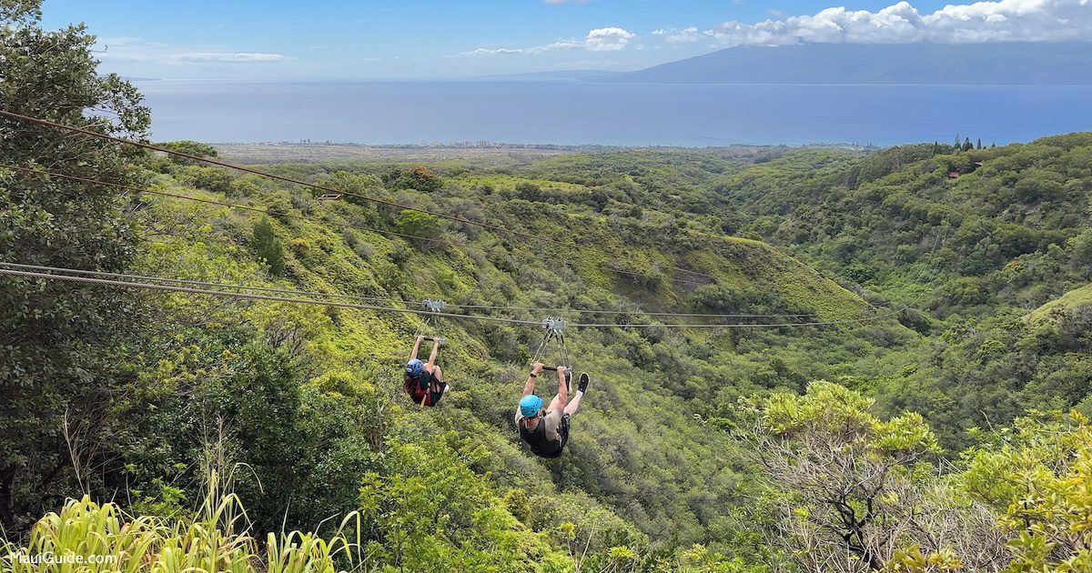 Two riders ziplining above a green valley at Kapalua with the ocean beyond